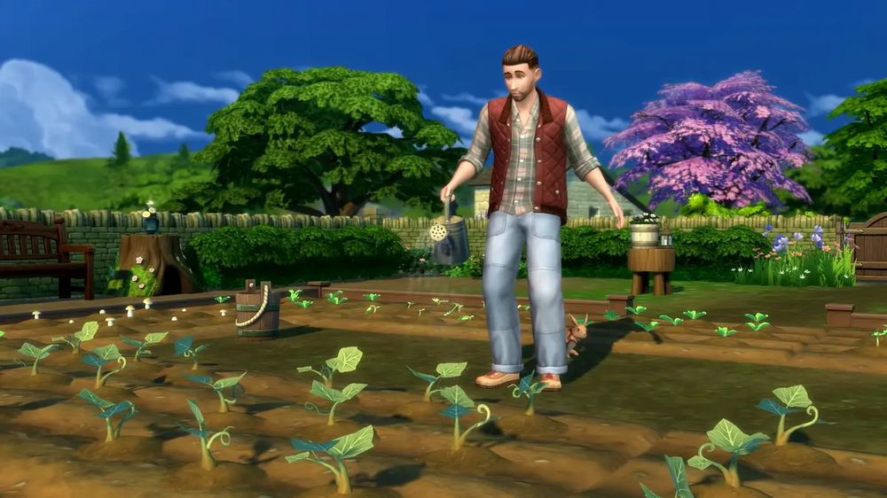 the sims